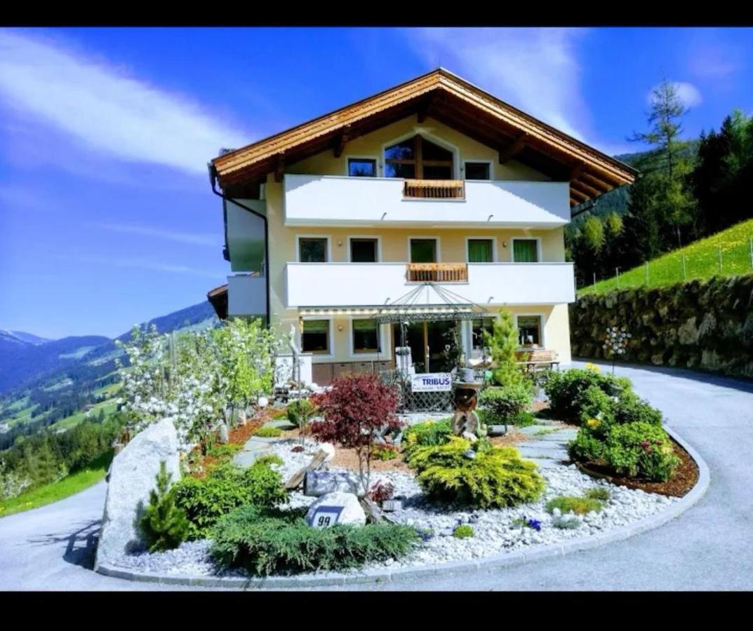 Ferienwohnungen Hinterstein Hart im Zillertal Εξωτερικό φωτογραφία