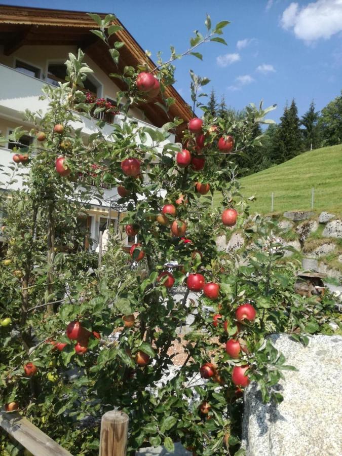 Ferienwohnungen Hinterstein Hart im Zillertal Εξωτερικό φωτογραφία